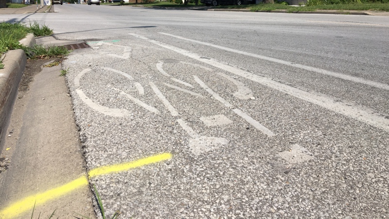 A bike lane is seen in this file image. (Ricardo Veneza / CTV News)