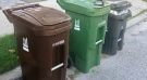 The new brown bins, pictured above, can be seen in Toronto's Leaside area on Wednesday morning. (Natalie Johnson)