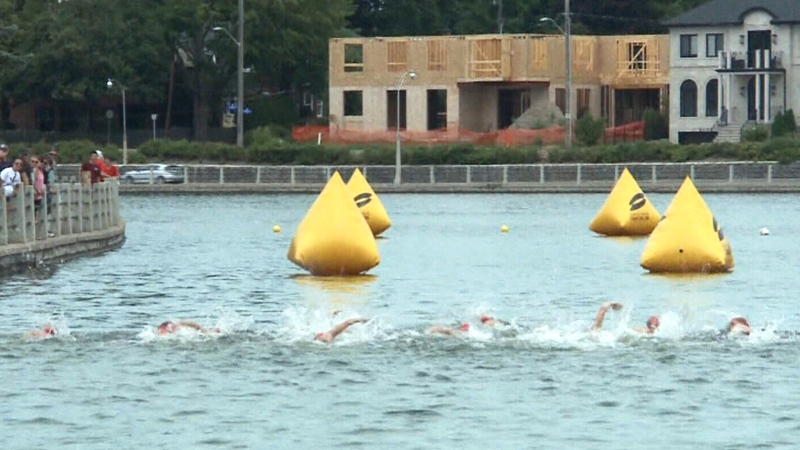 Athletes swim in Rideau Canal