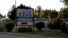 Greater Vancouver Zoo.