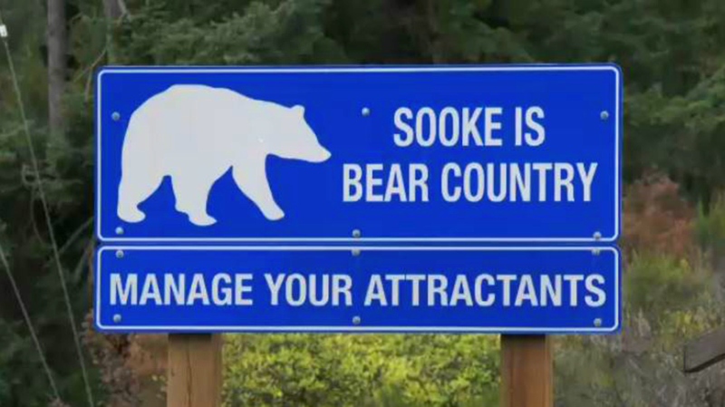 A sign greeting visitors heading into Soke reminds them that bears are ever-present and to manage their attractants like garbage. Aug. 9, 2019. (CTV Vancouver Island)
