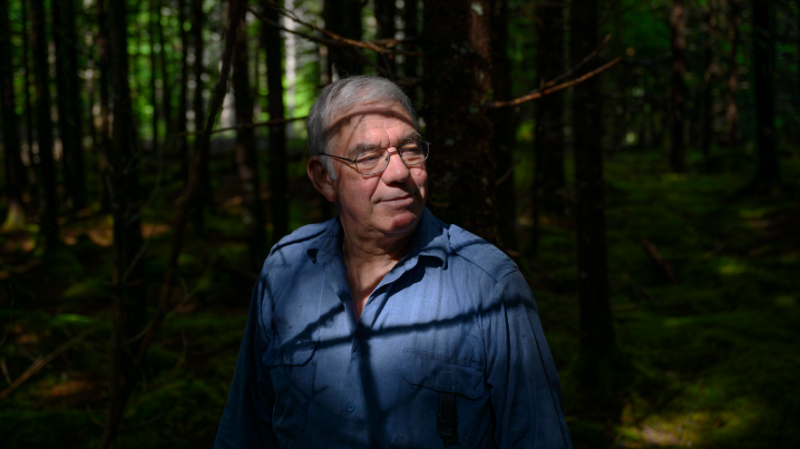 For wood harvester Wade Prest predictions of devastation if Nova Scotia's largest pulp mill closes are missing a wider story of an industry that must rethink its future. Prest poses for a portrait on the property he works in Mooseland, N.S., on Saturday, Aug. 10, 2019. THE CANADIAN PRESS/Darren Calabrese