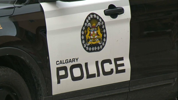 Calgary police are asking for the public’s help in locating the suspect vehicle in a Sunday morning hit-and-run in the city’s southwest. 