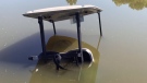 Golf cart submerged in pond at Oaks of Cobden Golf Course