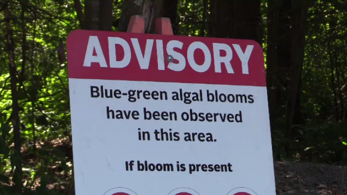 Algae advisory