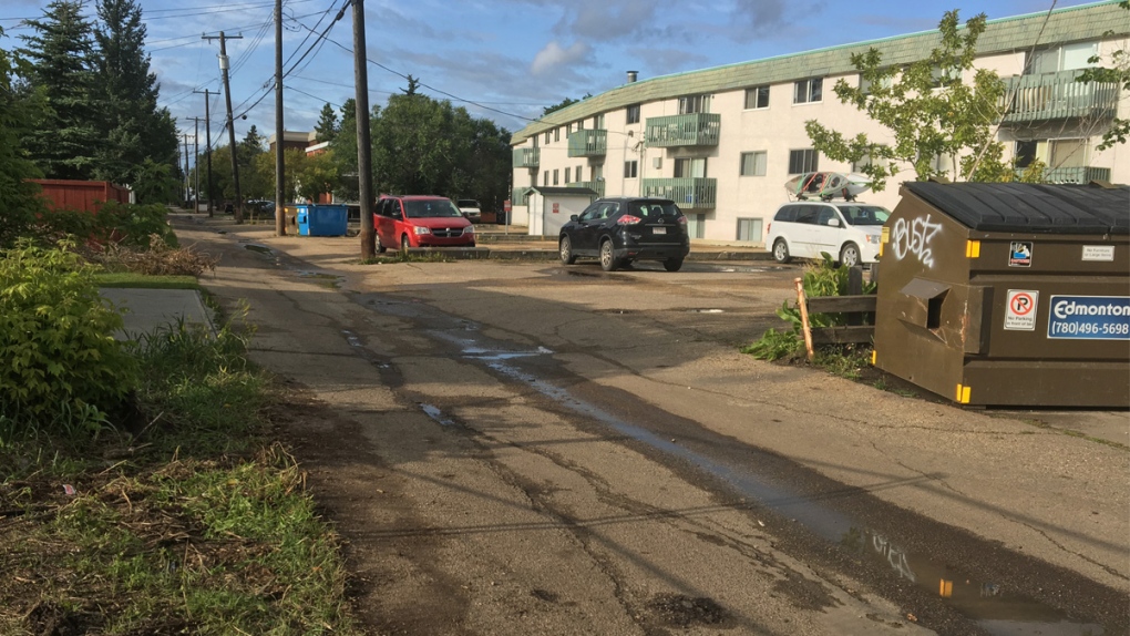 Human remains found in alley