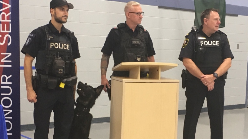 New police canine Rolex is set to hit the road with his handler Const. Marc Tremblay in Windsor, Ont., on Monday. Aug. 19, 2019. (Chris Campbell / CTV Windsor)
