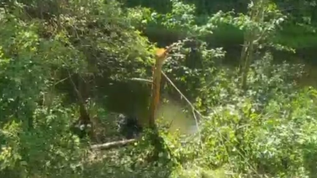 A ravine where a vehicle crashed and submerged