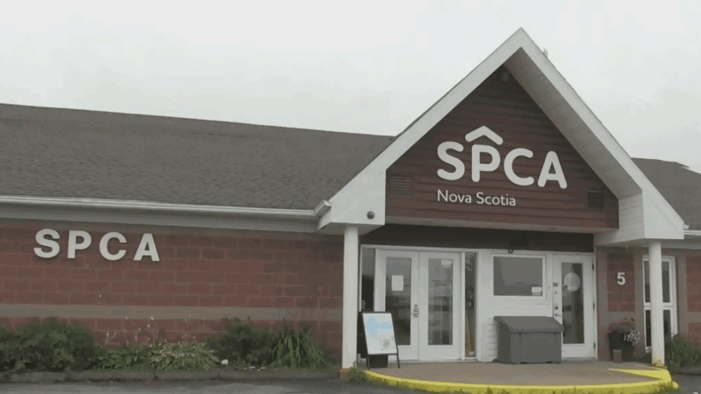 Novs Scotia SPCA