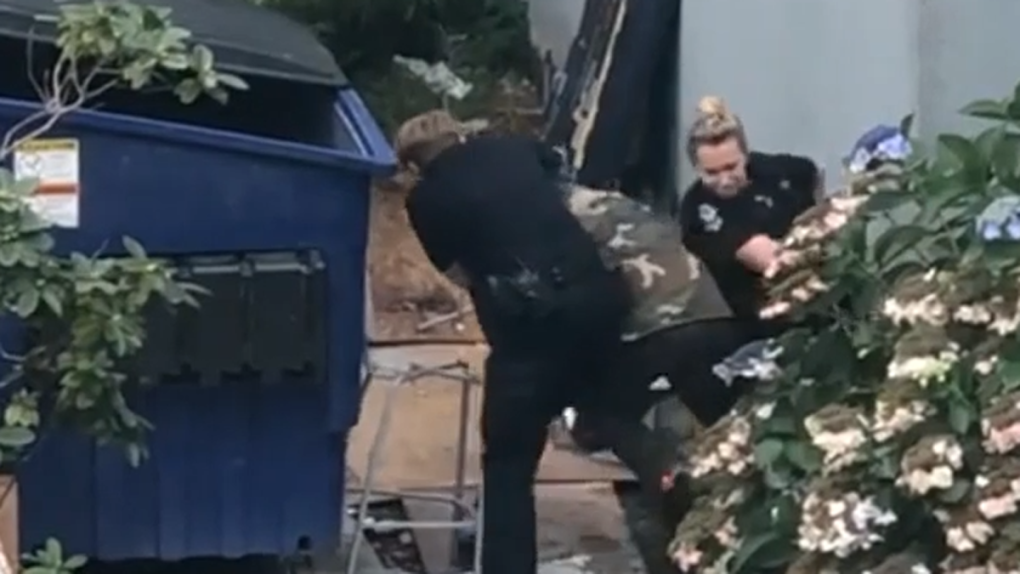 Video of arrest attempt