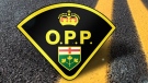 OPP have charged a 57-year-old Brampton man in a January hit-and-run crash near Sharbot Lake that left one man dead.