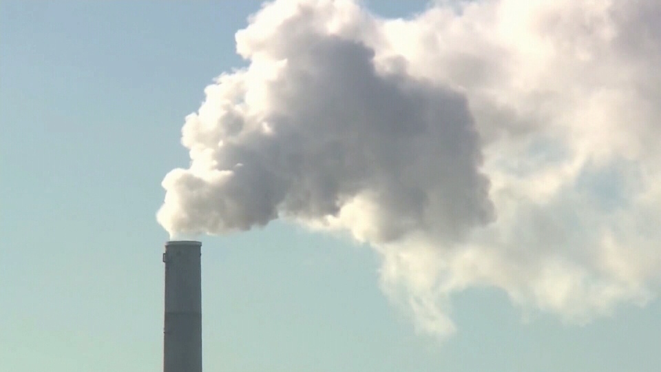 Councillor's motion to push back city's climate action plan fails | CTV ...