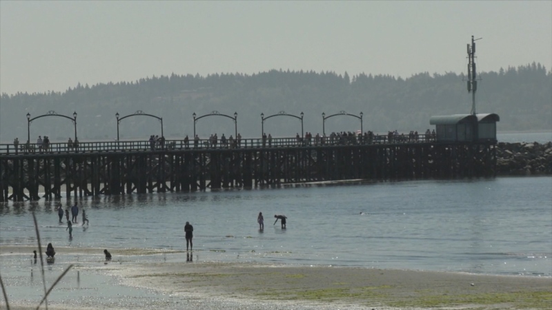 The White Rock Pier is seen in this file photo.