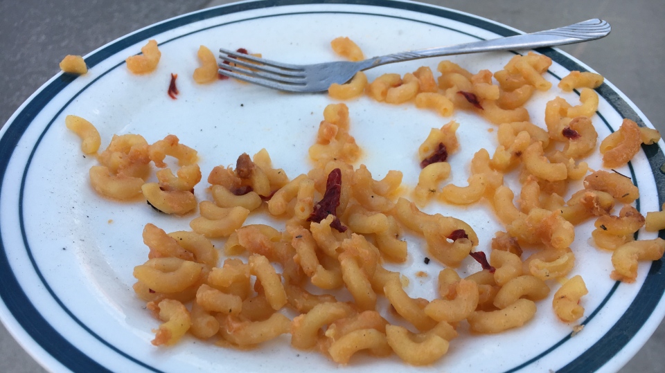 A plate of abandoned macaroni and cheese