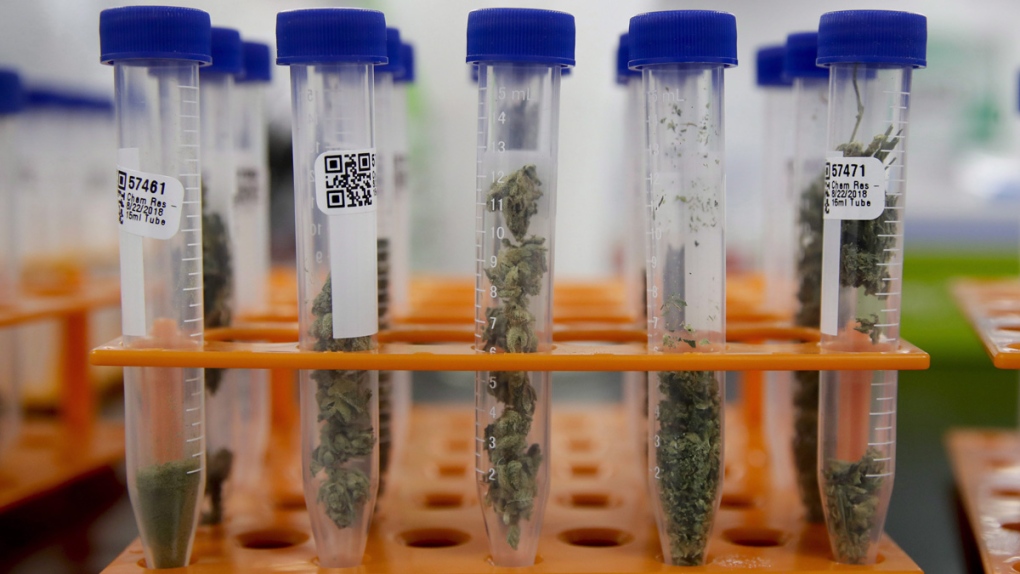 Samples at a cannabis testing laboratory