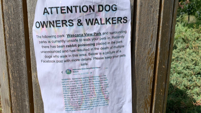 A sign warns about a dog ingesting poison in Wascana View last month (Marc Smith / CTV Regina)