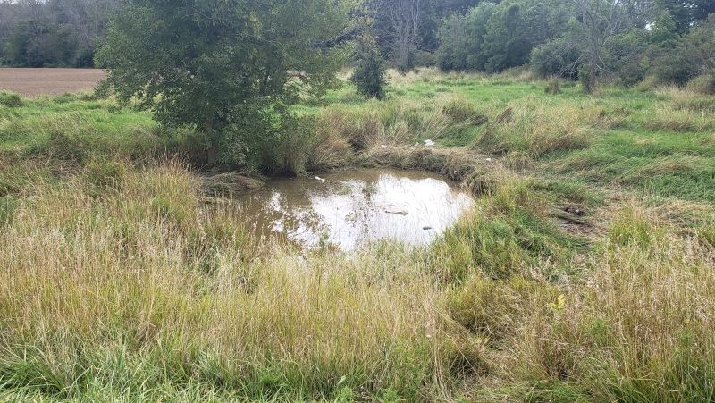 A pond is seen with tire marks next to it in the area of Haldimand Road 3, Nanticoke. OPP say a man was seriously injured in the area after a vehicle with children rolled over into water. (Photo: Heather Senoran/CTV Kitchener) (Sept. 1, 2019)