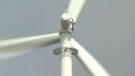 If all goes to plan, turbines will soon tower high above the forested Lorneville landscape as part of Saint John's first wind farm.