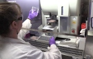 Diabetes cell research is done at one of the Robarts research labs in London, Ont. on Thursday, Sept. 5, 2019.
(Celine Zadorsky / CTV London) 