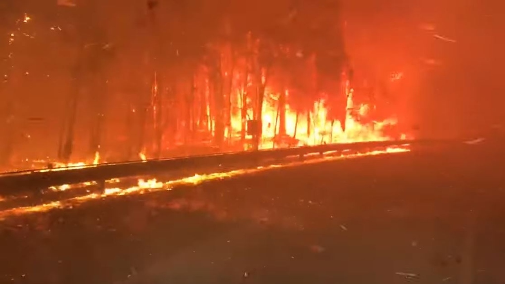 Bushfire in Queensland