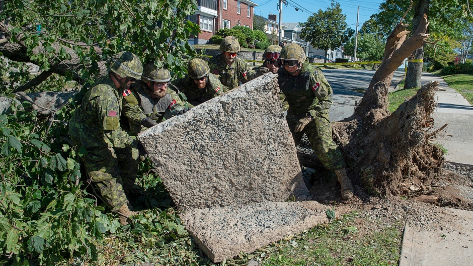 Canadian Armed Forces Domestic Support - Page 4 Image