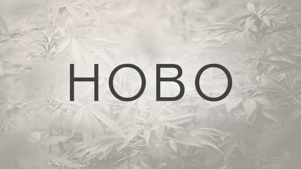 Hobo Recreational Cannabis 