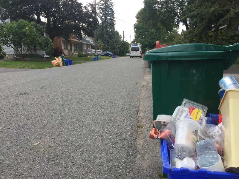 Residents on Dundee Avenue, in Ottawa's west-end, frustrated over Waste Management's recycling pick-up delays. 