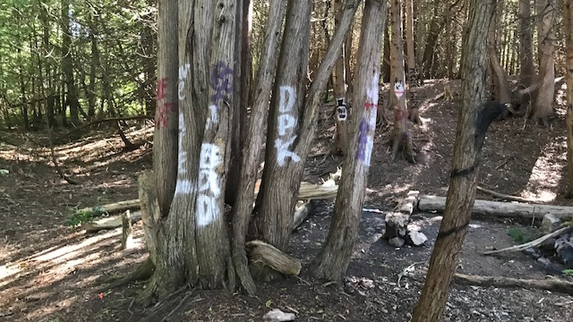 Trees tagged