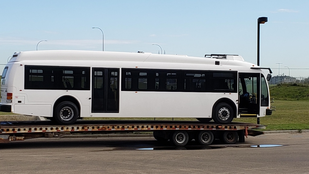 Edmonton transit bus 
