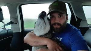 Mike Plas said he lost his dog Jack, a husky and Shepherd mix, when he broke out of his perimeter collar at his home in the northwestern Ontario city. (Photo: Mike Plas/Facebook)