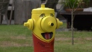 A fire hydrant in Woss colourfully painted by Vivian Williams. (CTV News)