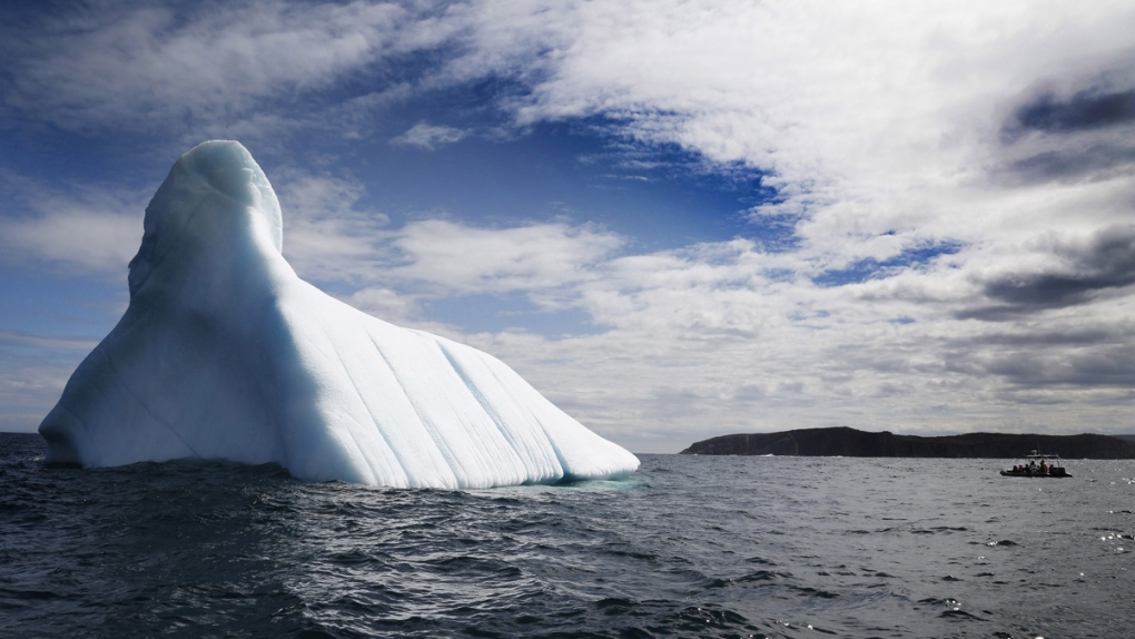 An iceberg in Bonavista Bay, N.L.