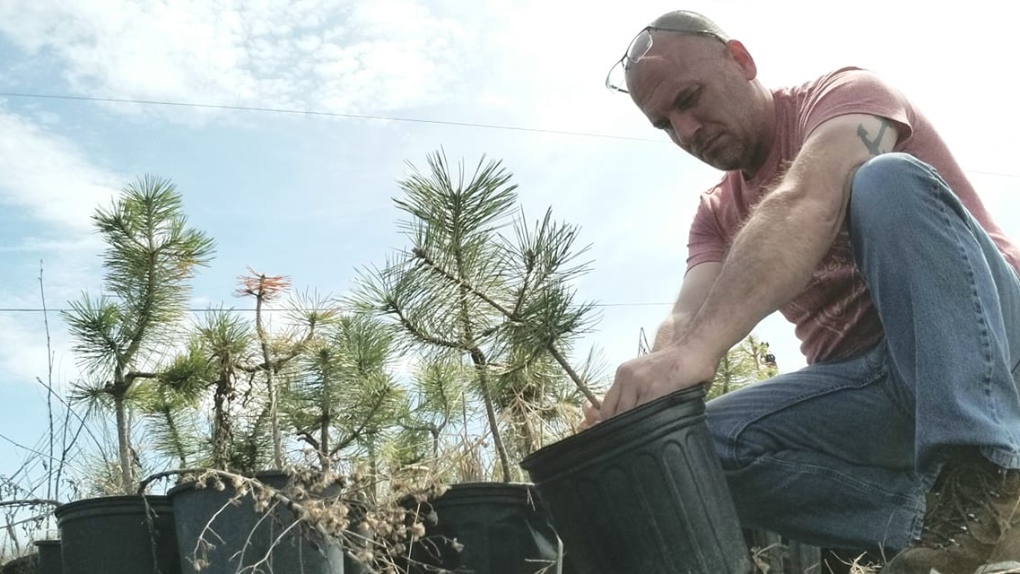 Chuck Barnett planting a tree