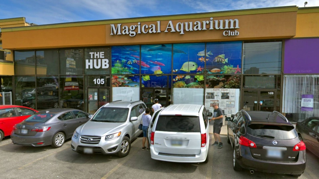 Magic Aquarium Club