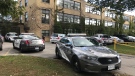 Toronto police investigate a stabbing after a teenager was found injured at Neil McNeil High School. (Craig Wadman/CTV News Toronto)