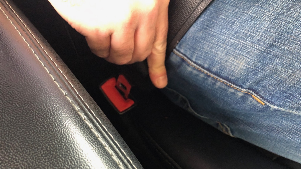 Seat belt generic