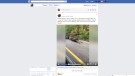 Facebook post with a video of a live moose being dragged behind a truck in Killarney is going viral. (Facebook)