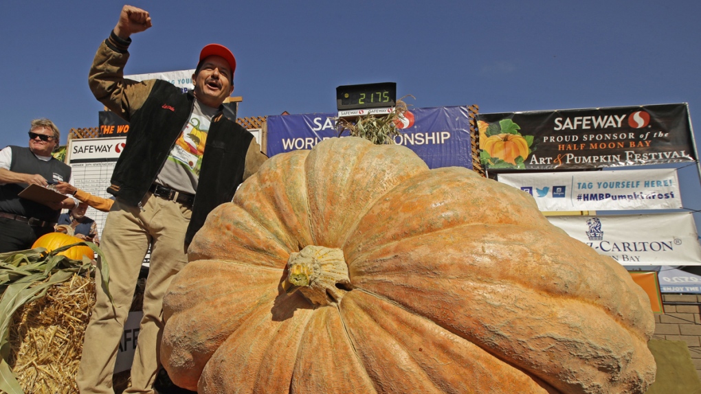 The pumpkin weighing in at 2,175 lbs