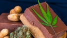  New regulations for cannabis edibles and topicals come into effect on Oct. 17, 