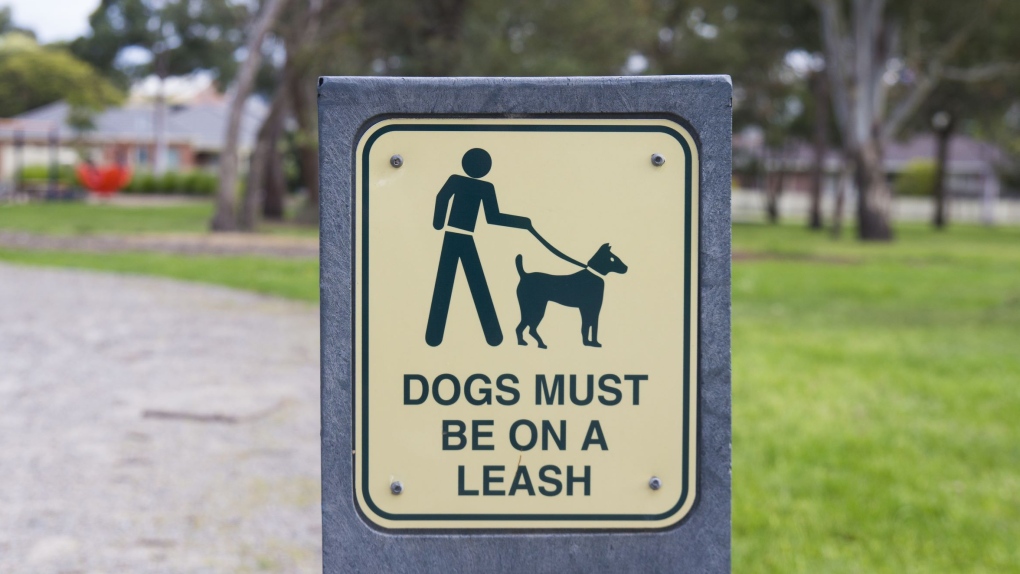 Leash required sign
