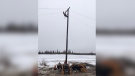 Of the 3,863 poles damaged, 3,540 of them have been replaced. (Source: Manitoba Hydro.)
