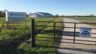 The site of a proposed medical cannabis growing facility at 2085 Highway 3 in Oldcastle, Ont. (Rich Garton / CTV Windsor)