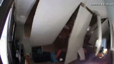 Watch the moment a tree crashes through a home