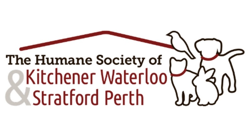 Humane Society Kitchener Waterloo, Stratford Perth