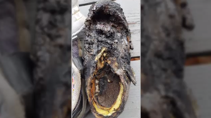 The remains of a burned shoe