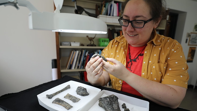 Paleontologist Victoria Arbour with the fossilized bones of the newly discovered Ferrisaurus sustutensis in Victoria, B.C. (Brandy Yanchyk/Royal BC Museum)