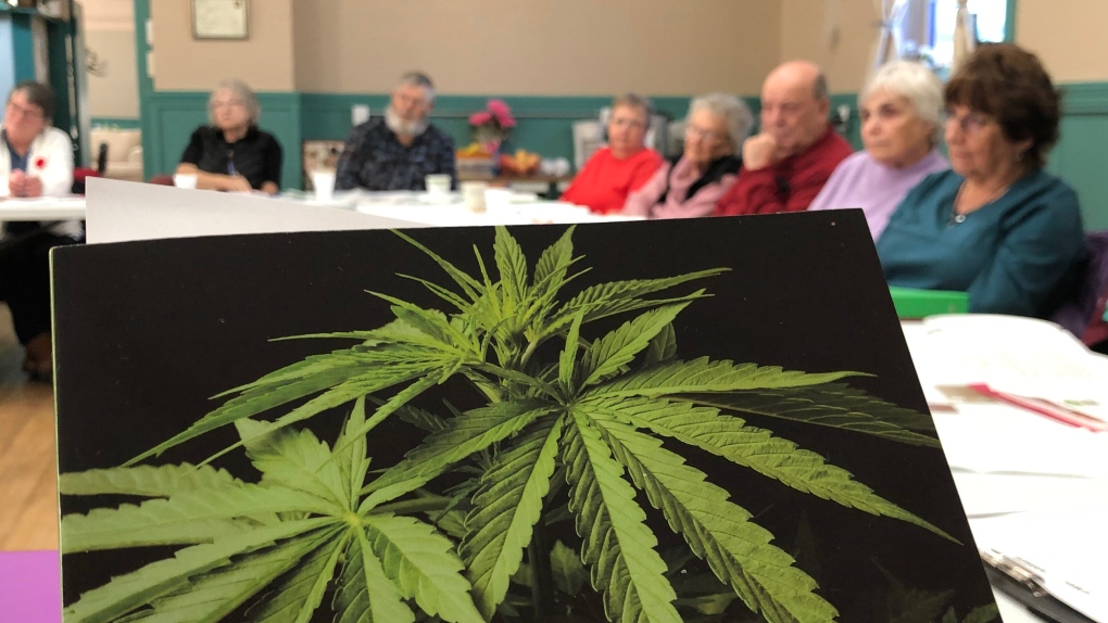 cannabis meeting
