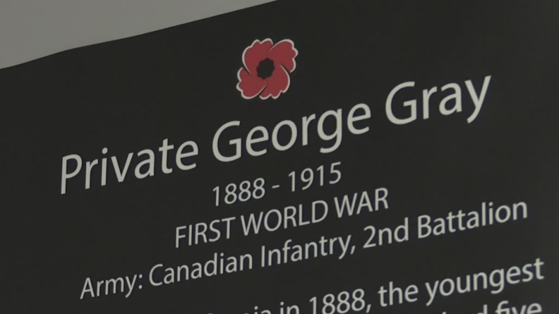 The name of one of 26 fallen soldiers added to the Cenotaph in Sarnia, Ont. is seen on Monday, Nov. 11, 2019. (Bryan Bicknell / CTV London)