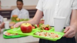 A child is seen caring a tray in a school cafeteria in this undated file photo. 