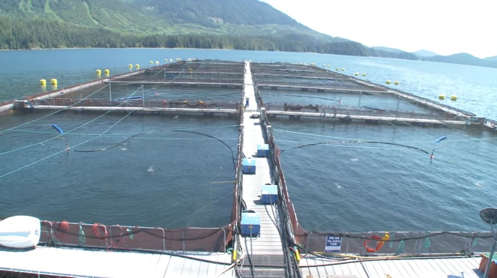 Cermaq fish farm